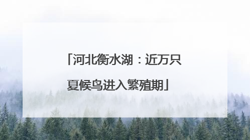 河北衡水湖：近万只夏候鸟进入繁殖期